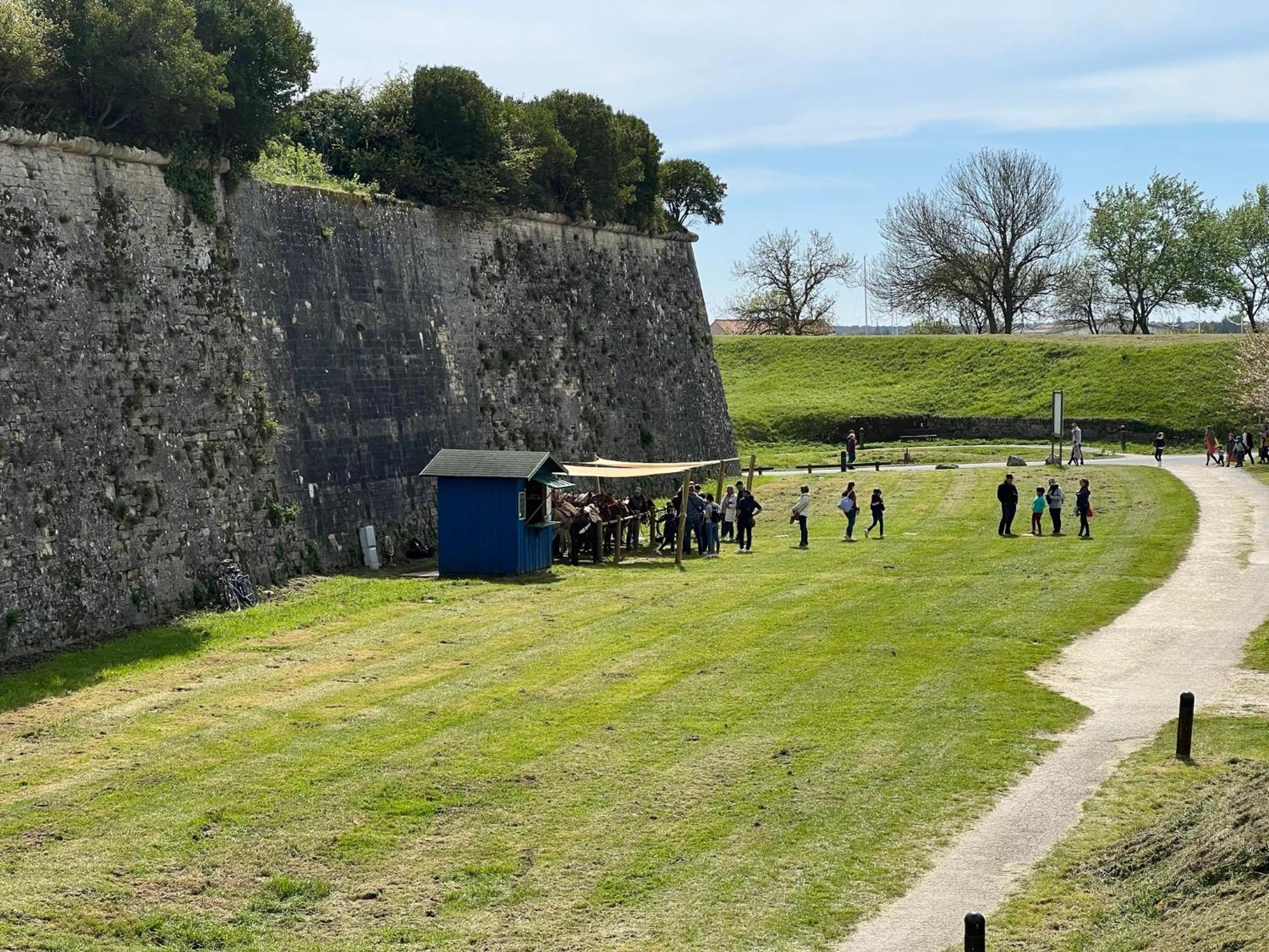 Les Amareyeurs - Ile D'Oleron - Maison Classee 3 Etoiles Avec Piscine - Clim - Velos Le Château-dʼOléron Eksteriør bilde