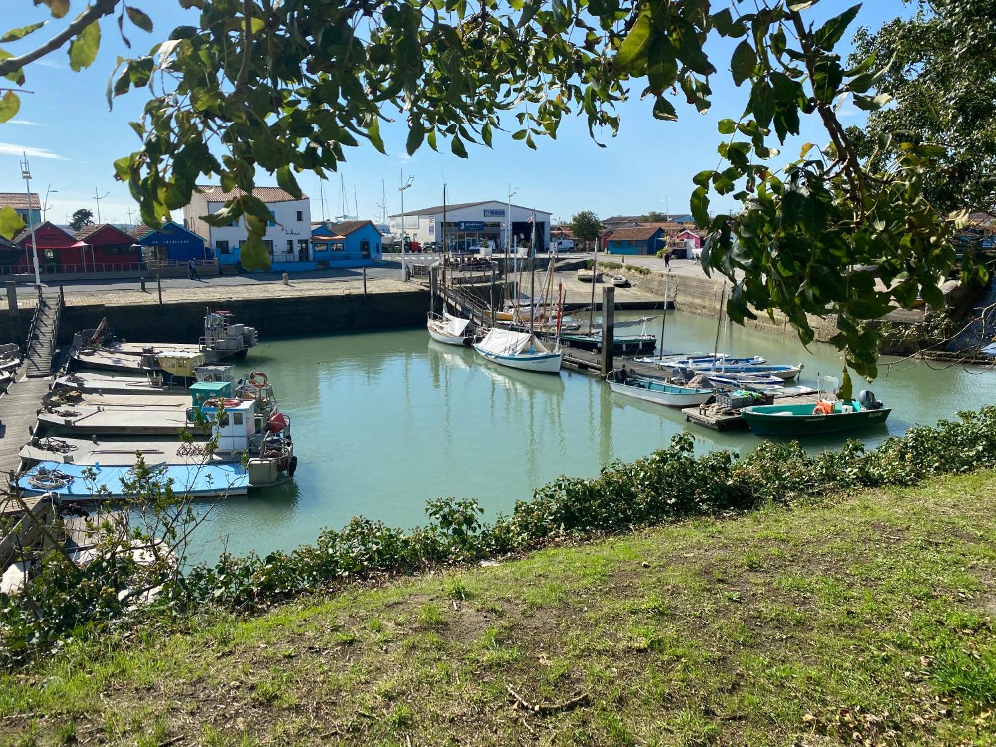 Les Amareyeurs - Ile D'Oleron - Maison Classee 3 Etoiles Avec Piscine - Clim - Velos Le Château-dʼOléron Eksteriør bilde